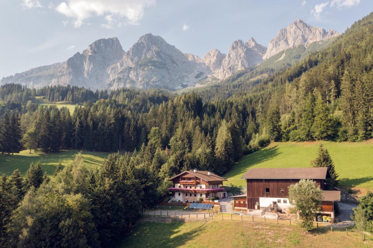 Familienbauernhof Samerhof Pfarrwerfen Dış mekan fotoğraf