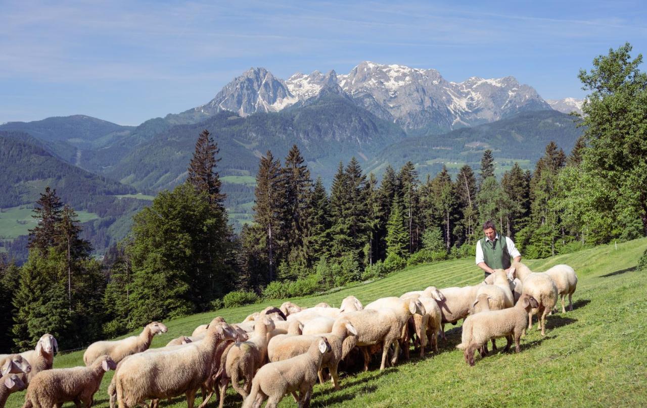 Familienbauernhof Samerhof Pfarrwerfen Dış mekan fotoğraf