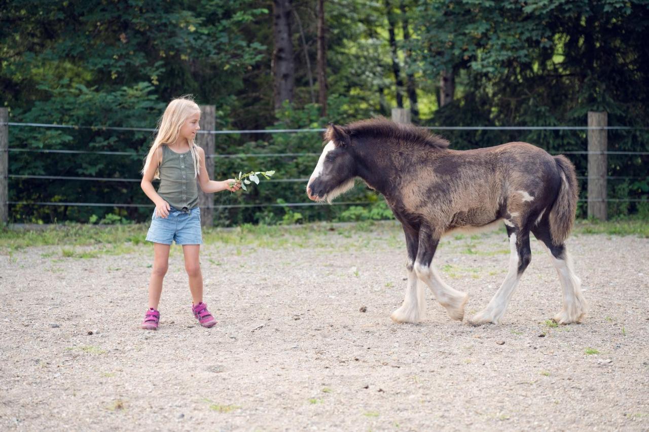 Familienbauernhof Samerhof Pfarrwerfen Dış mekan fotoğraf