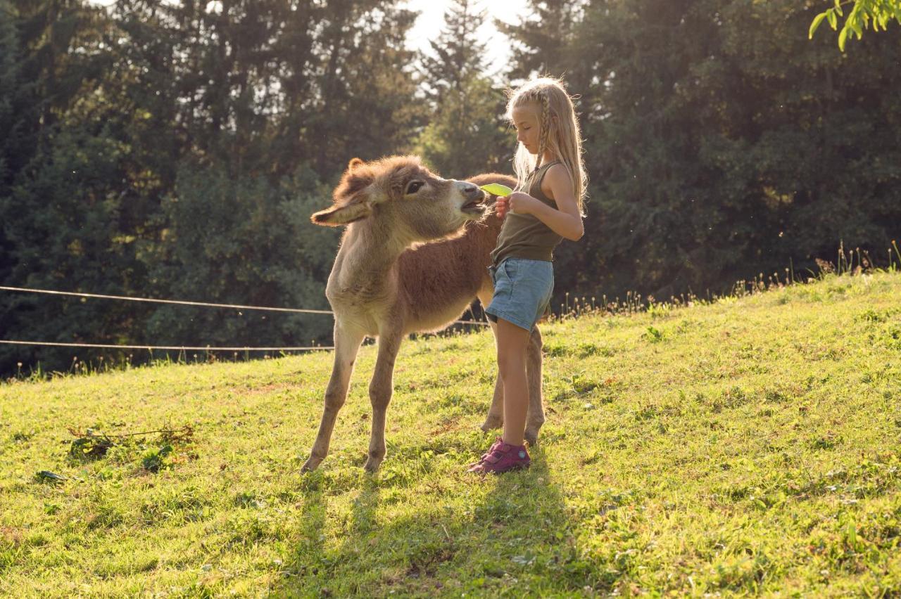 Familienbauernhof Samerhof Pfarrwerfen Dış mekan fotoğraf