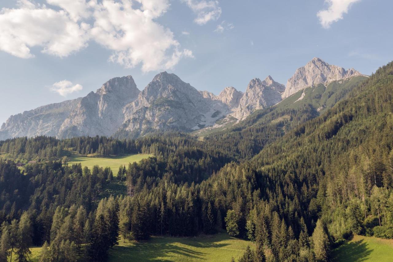Familienbauernhof Samerhof Pfarrwerfen Dış mekan fotoğraf