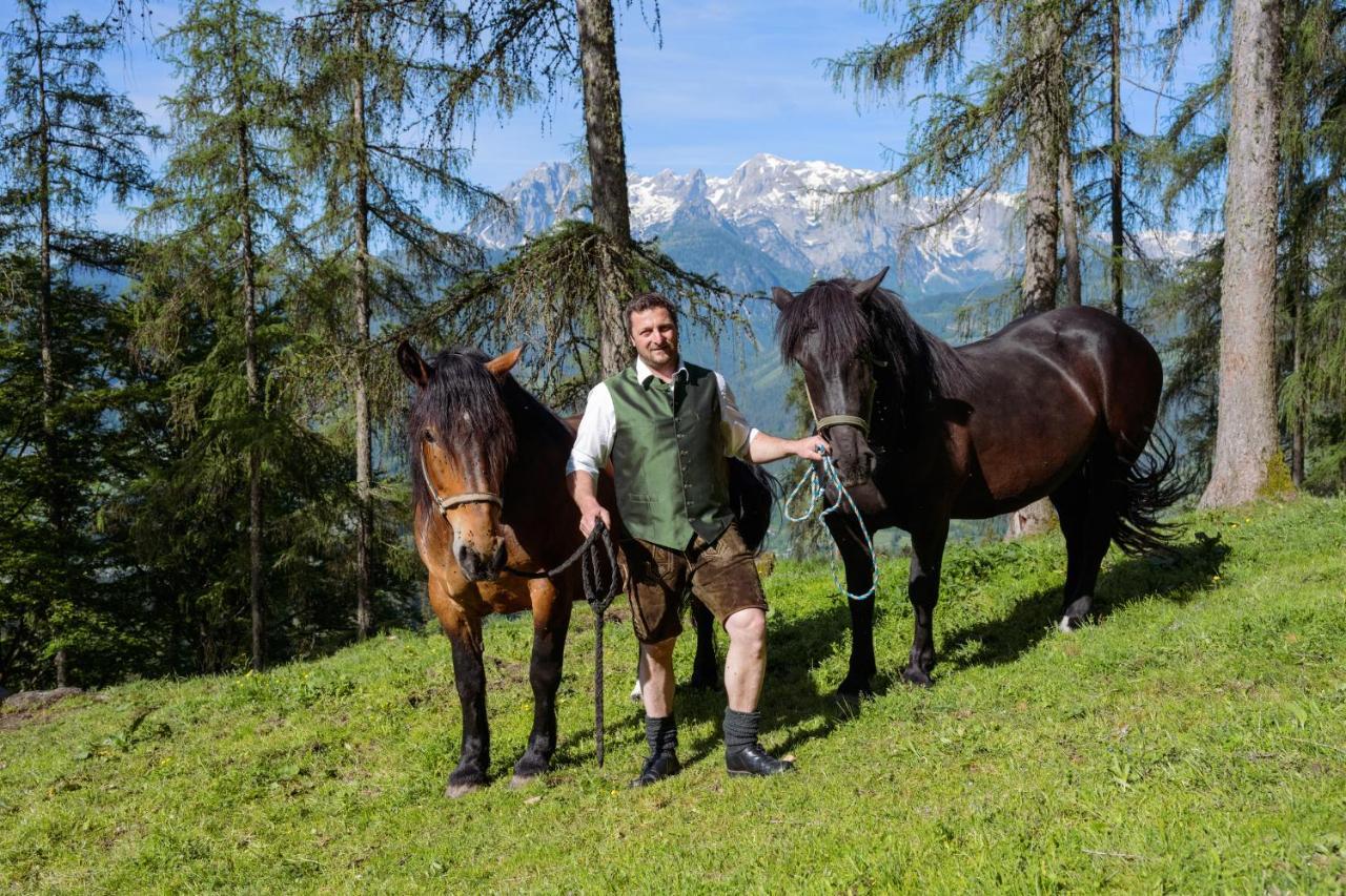 Familienbauernhof Samerhof Pfarrwerfen Dış mekan fotoğraf