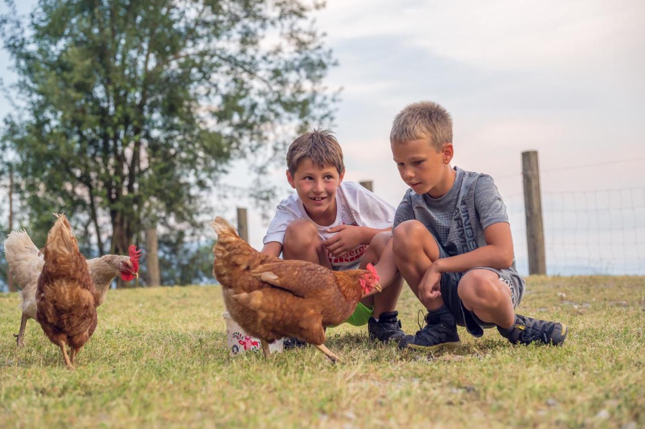 Familienbauernhof Samerhof Pfarrwerfen Dış mekan fotoğraf