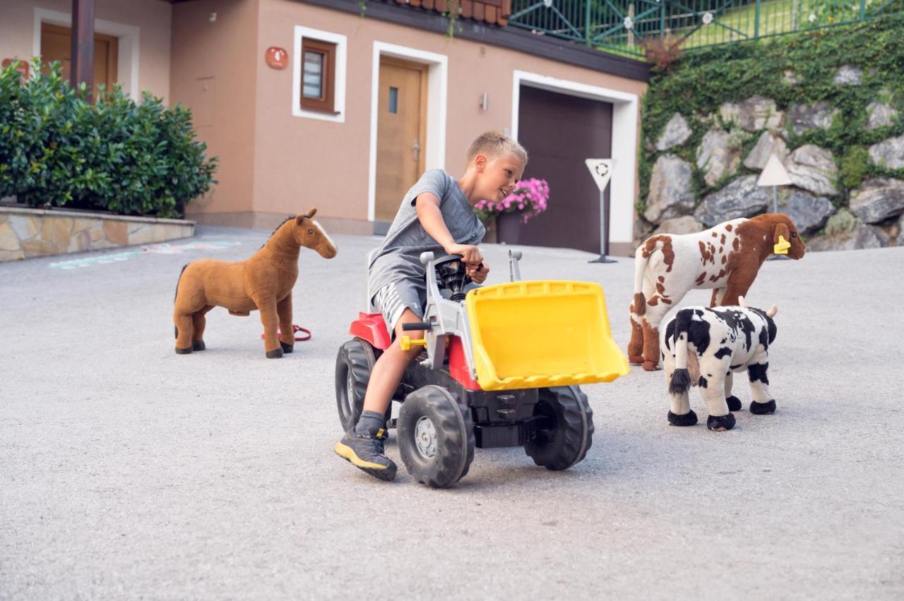 Familienbauernhof Samerhof Pfarrwerfen Dış mekan fotoğraf
