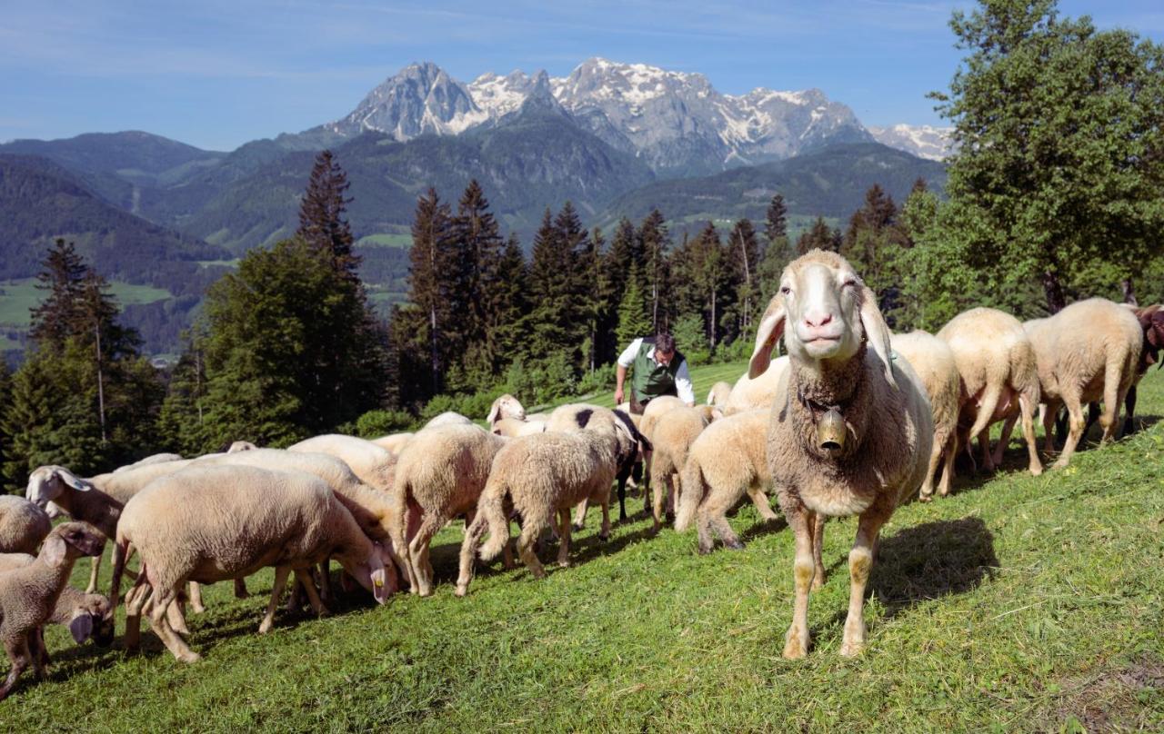 Familienbauernhof Samerhof Pfarrwerfen Dış mekan fotoğraf
