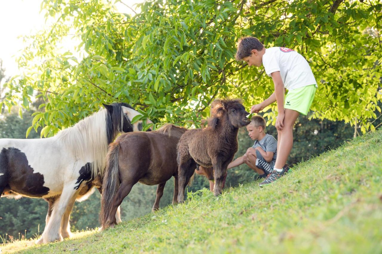 Familienbauernhof Samerhof Pfarrwerfen Dış mekan fotoğraf