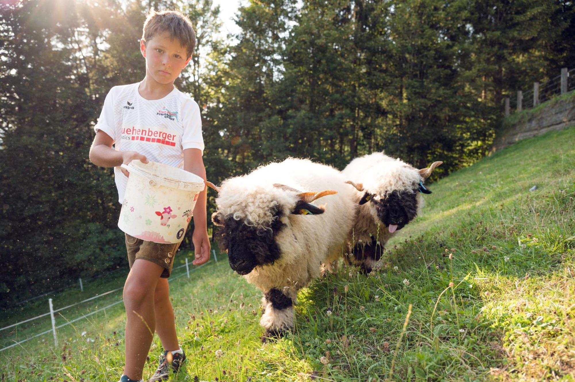 Familienbauernhof Samerhof Pfarrwerfen Dış mekan fotoğraf