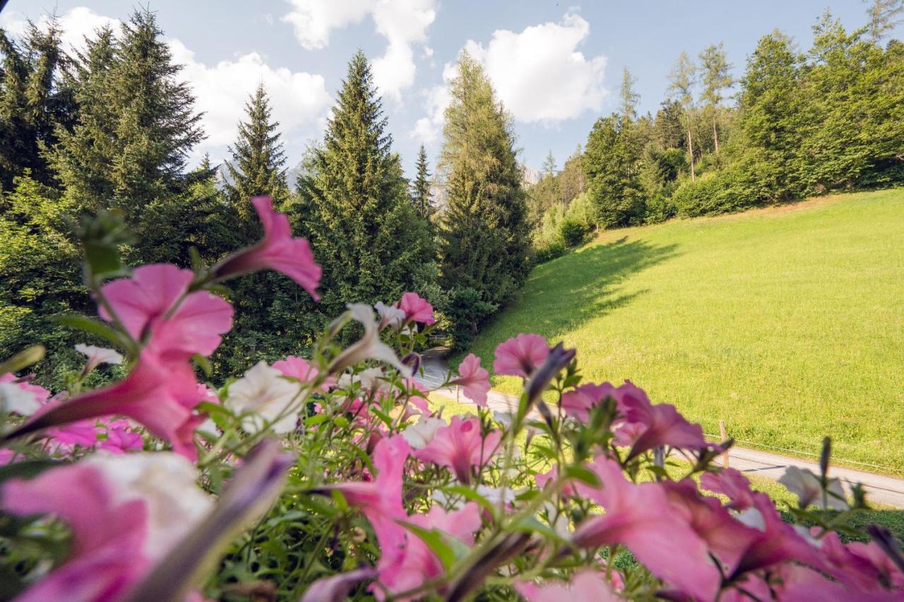Familienbauernhof Samerhof Pfarrwerfen Dış mekan fotoğraf